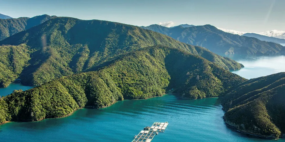 A New Zealand King Salmon's farming site.