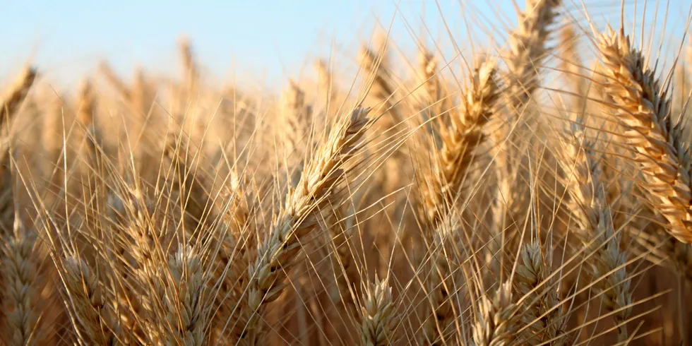 Barley has a number of drawcards, particularly for overseas customers, Scoular says.