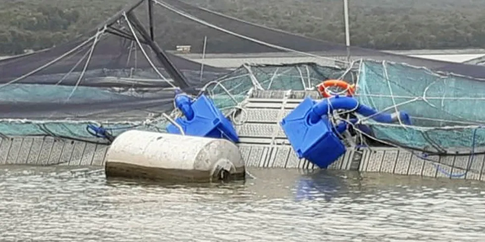 Chile authorities probe salmon farm storm damage.