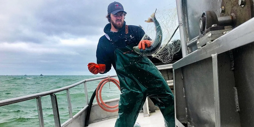 The salmon season is underway in Bristol Bay.