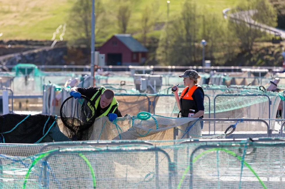 The team at Alphabet spinoff Tidal installing their camera system on a salmon netpen in Norway.