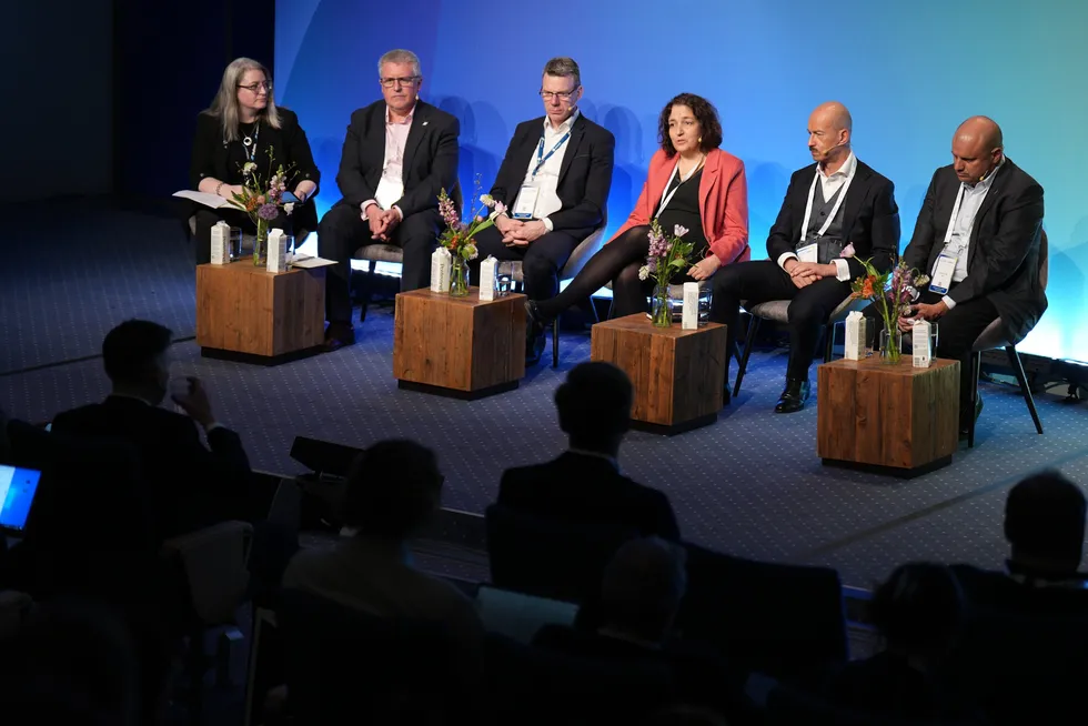 Comments were made during a panel discussion on de-risking projects at WindEurope's annual summit.