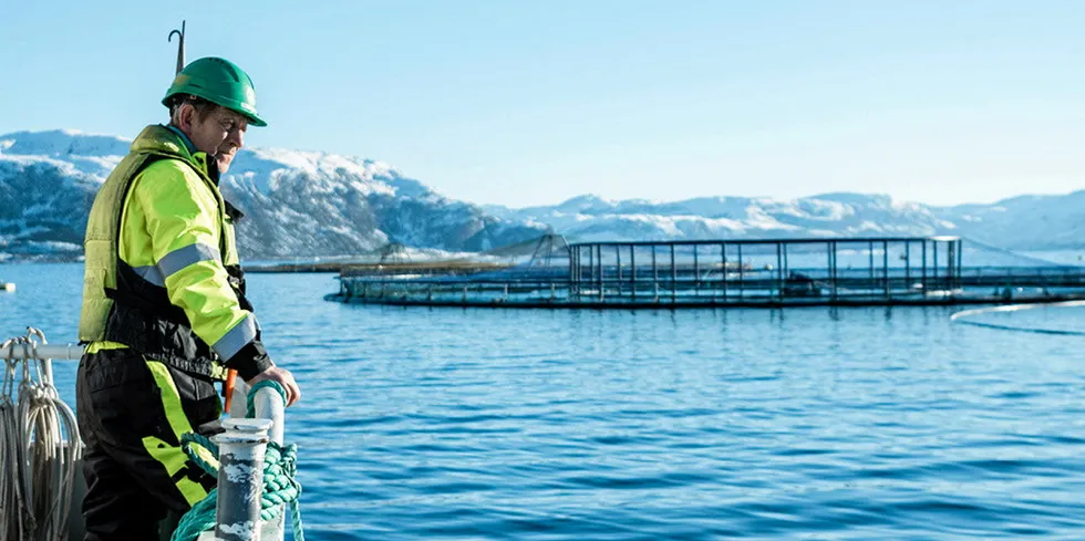 Mowi Canada East is looking to expand hatchery operations in Newfoundland.