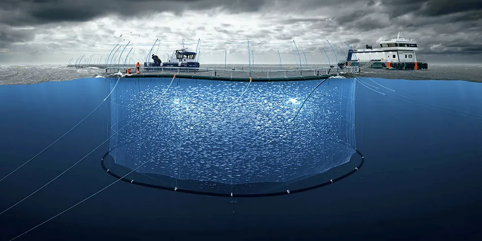 New Zealand King Salmon's Blue Endeavour offshore salmon farm.