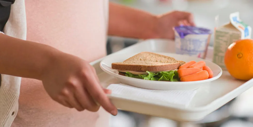 USDA National School Lunch program includes Alaska pollock in its purchasing program.