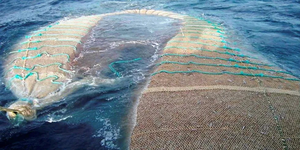 Northeast Atlantic blue whiting is predominantly used for fish oil and feed for salmon aquaculture, but the fishery was stripped of its Marine Stewardship Council (MSC) certification in 2020, after more than a decade of mismanagement and overfishing.