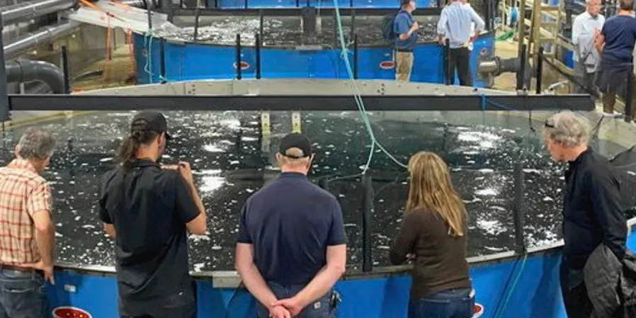 Hilary Franz tweeted on Aug. 11 she was excited to visit land-based salmon farmer Sustainable Blue in Atlantic Canada.
