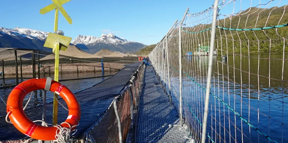 Last month SMA officials indicated that Australis Seafoods could escape a fine or have its sanction reduced after self-reporting years of overproduction.