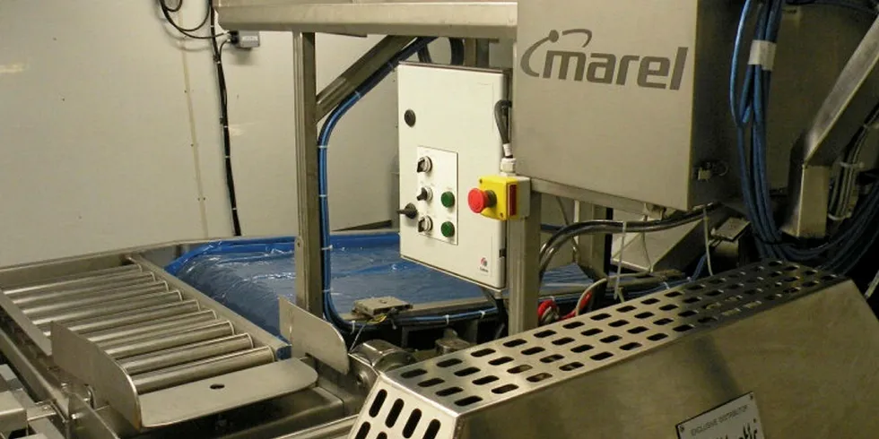 Marel Fish business earnings slide in Q2