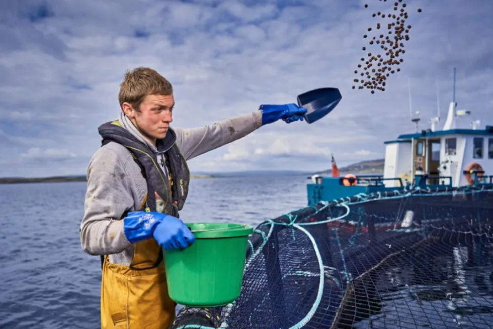 In the past decade, Cooke Aquaculture Scotland has tripled its organic salmon production.