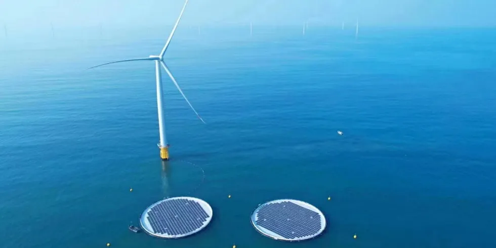 The floating solar arrays off Shandong.