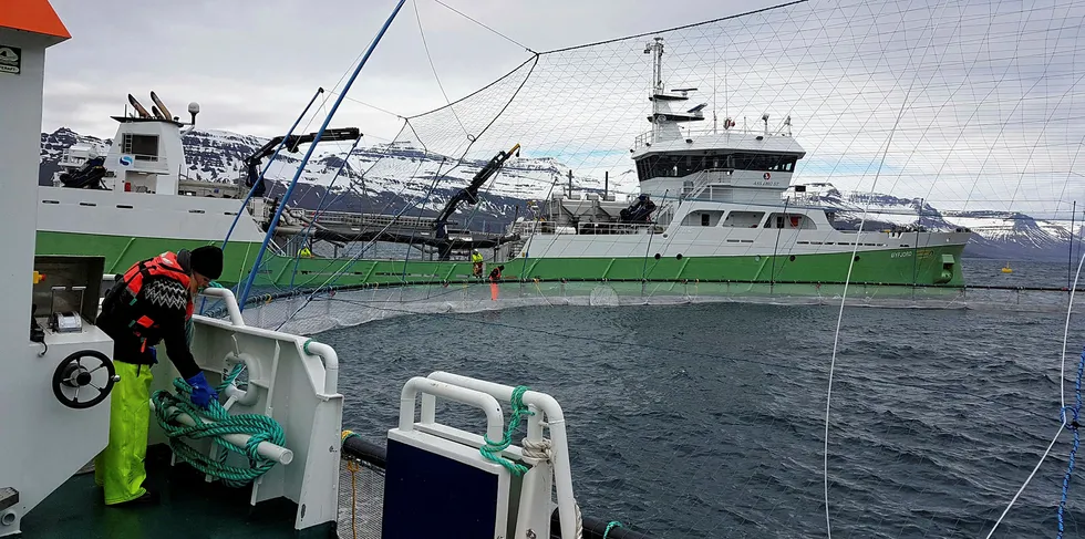One of Laxar's farms at Sigmundurhus in Reydarfjordur, Iceland.