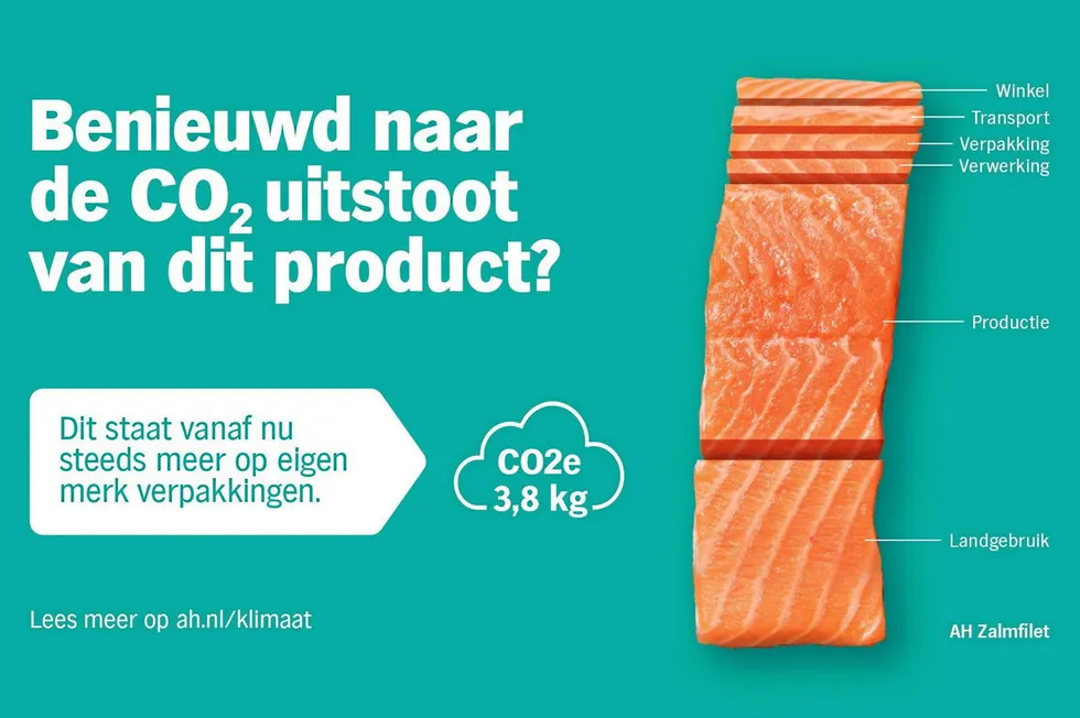 "Curious about the CO2 emissions of your product?" Albert Heijn asks consumers in its latest eco-label imitative.