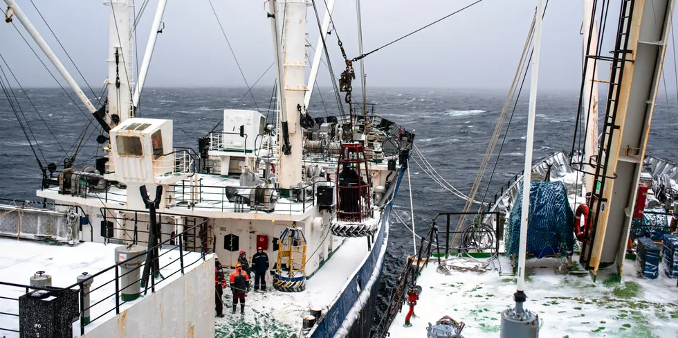Russia pollock sector warns A season catch could be up to 20% lower than last year