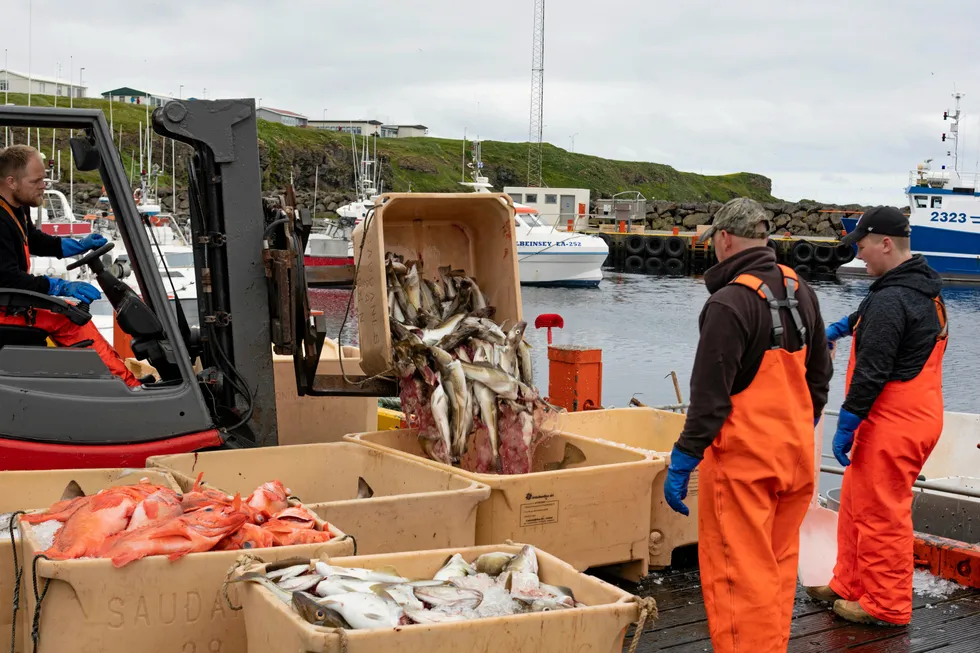 An increase in fishing fees for cod is due to the improved profitability of fishing during 2023.