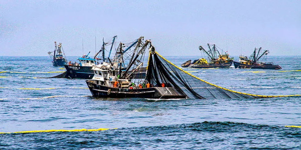 Can the Peruvian fleet land its full quota in increasingly difficult winter conditions?