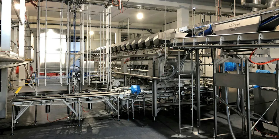 Hofseth Aqua opened a new factory in Alesund.