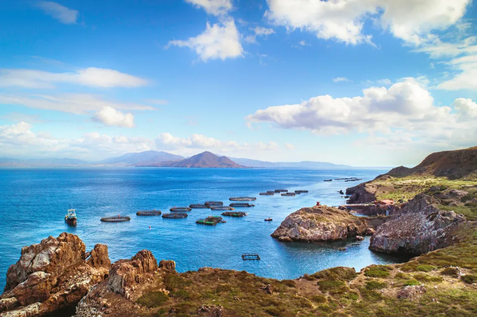 Pacifico Aquaculture's striped bass cages in Baja, Mexico.