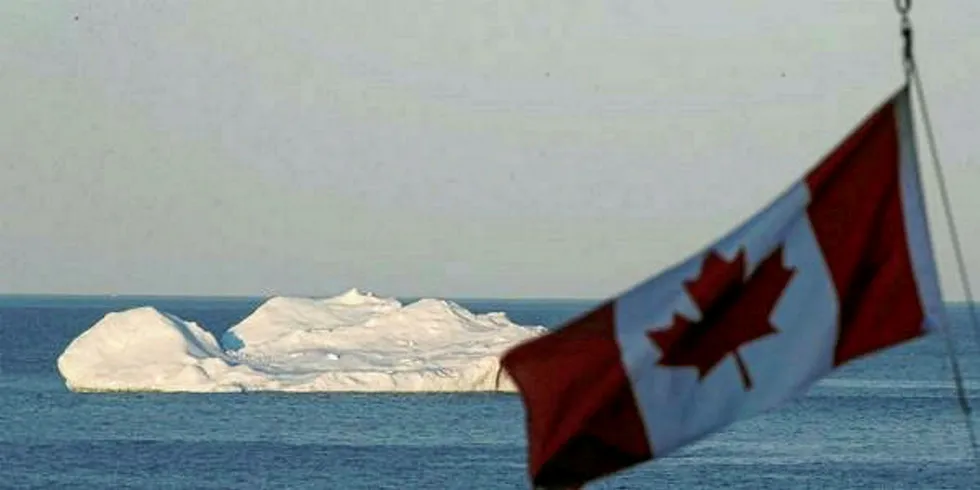 Canadian companies are looking for trade options because of Trump's threats to shred NAFTA.