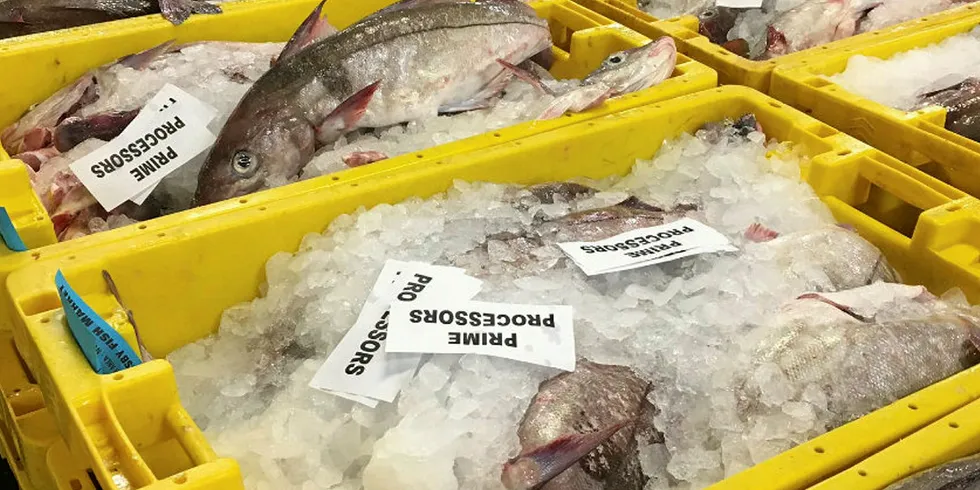 Disconcerting times on Grimsby fish market.