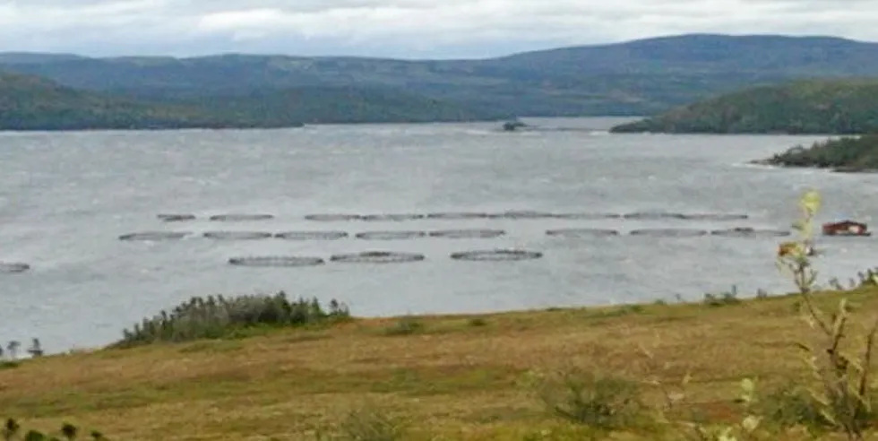 Nova Fish Farms is a subsidiary of Ocean Trout Canada, a steelhead company focused on the production of premium steelhead products for seafood consumers in the North American marketplace.