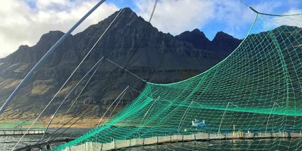 Ice Fish Farm's Atlantic salmon pens in Iceland.