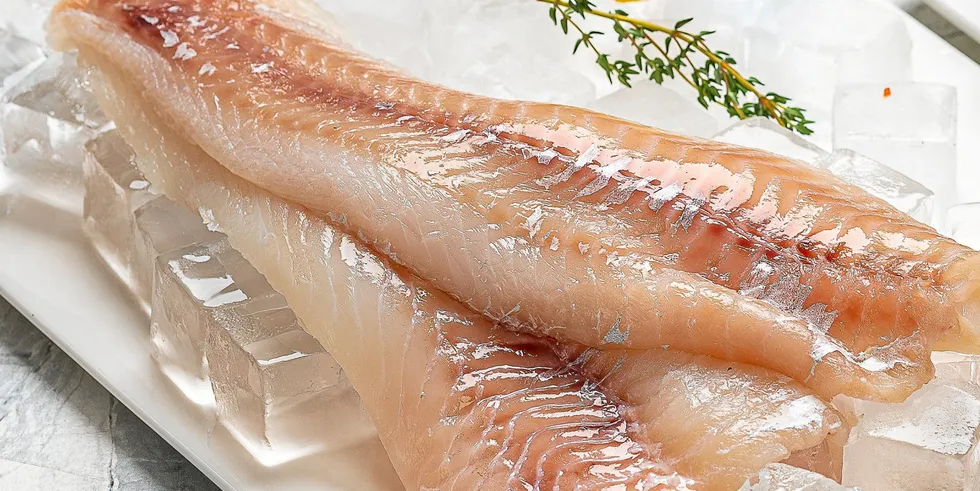Russian Fishery Pollock Fillet.