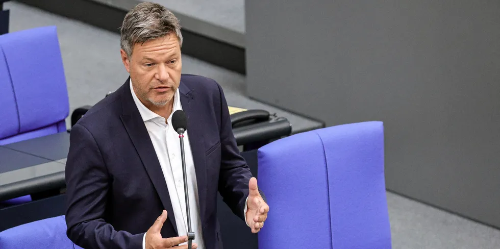 German economics and climate minister Robert Habeck at the German Bundestag last week.