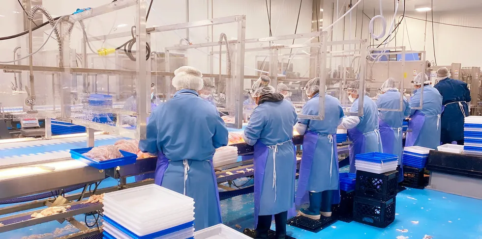 Blue Harvest won a major USDA groundfish contract in 2022.