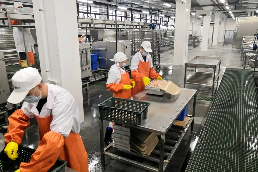 A pollock processing plant in Russia's Far East, launched under the state investment quota program.