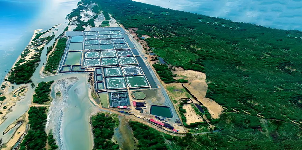 A Taprobane shrimp farm in Erukkalampiddy, on Sri Lanka's northwest coast.