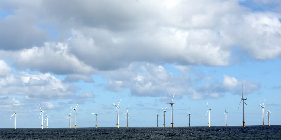 The UK's Teesside offshore wind farm as seen from the beach at Redcar. Photo: Getty