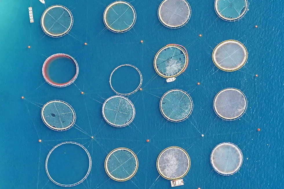 Fish farming in Greece. Ocean 14 Capital Fund I has acquired an undisclosed stake in AquaManager, a Greek provider of technology to the aquaculture industry.