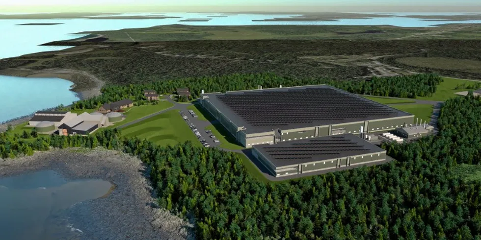 Once its Jonesport, Maine, facility is fully operational, Kingfish Maine is projected to produce 8,500 metric tons of yellowtail, the company said.