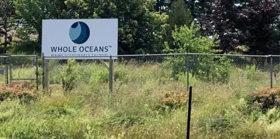 An empty lot where land-based salmon farmer Whole Oceans is reportedly planning to build its operation.