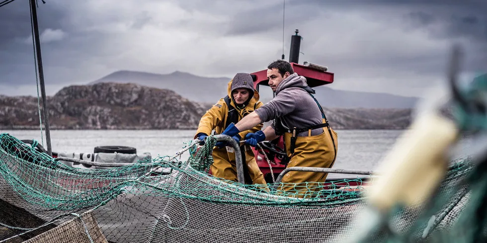 Farmed salmon producers saw a challenging third quarter as spot prices hit low levels.