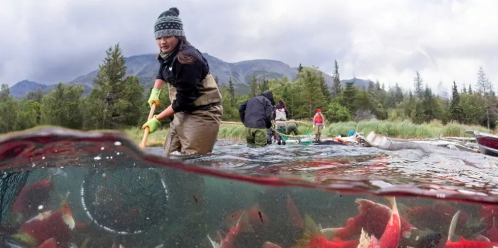 Located in the heart of Bristol Bay in the northeastern end of Iliamna Lake, the easements protect critical habitat for millions of wild salmon and maintain subsistence uses, traditional activities and cultural resources important to the Pedro Bay Corporation and its Alaska Native shareholders.