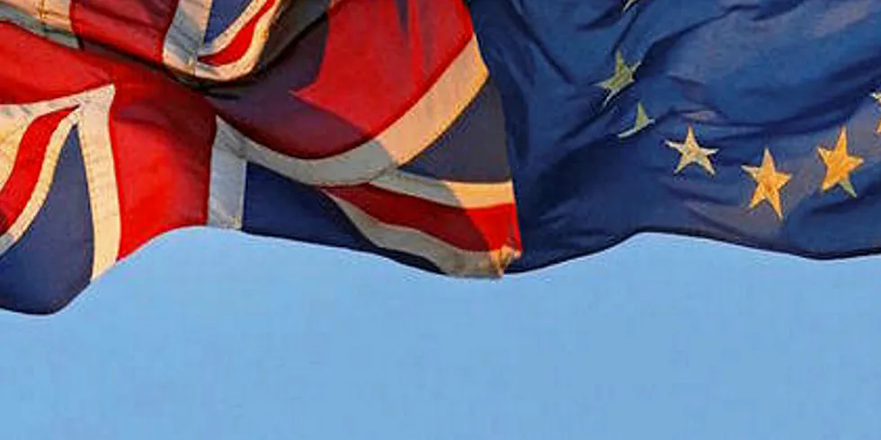 UK, EU Flags.