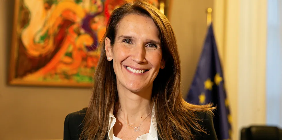 Belgian Prime Minister Sophie Wilmes.