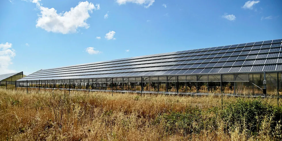 Solar panels in Sardinia, Italy.