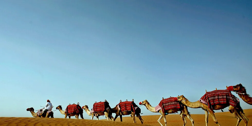 BYD has set out plans to develop a renewables-powered agricultural R&D centre in the Middle East