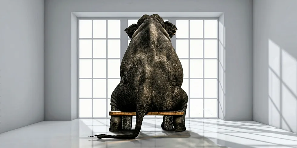 We need to discuss the elephant in the room.
