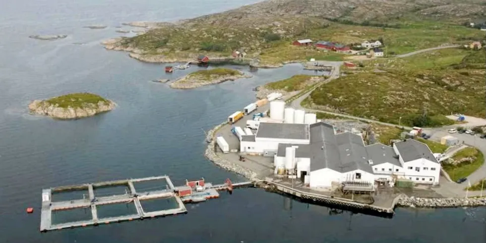 Mowi's salmon harvesting facility in Ulvan.