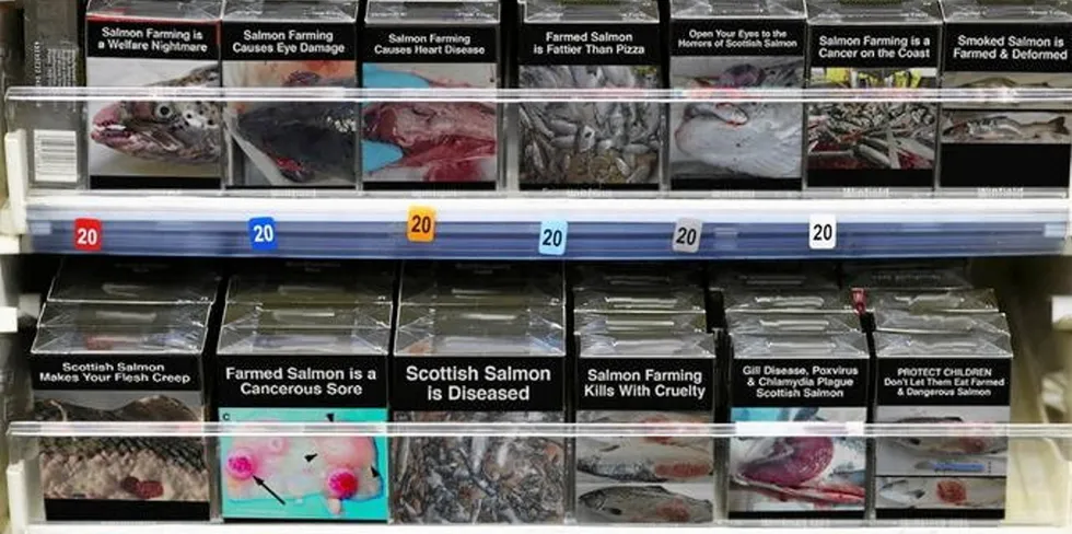 Scottish Salmon Watch campaigns have opposed salmon farming with aggressive and controversial topics. Now salmon farmer Mowi is taking the brains behind the organization to court.