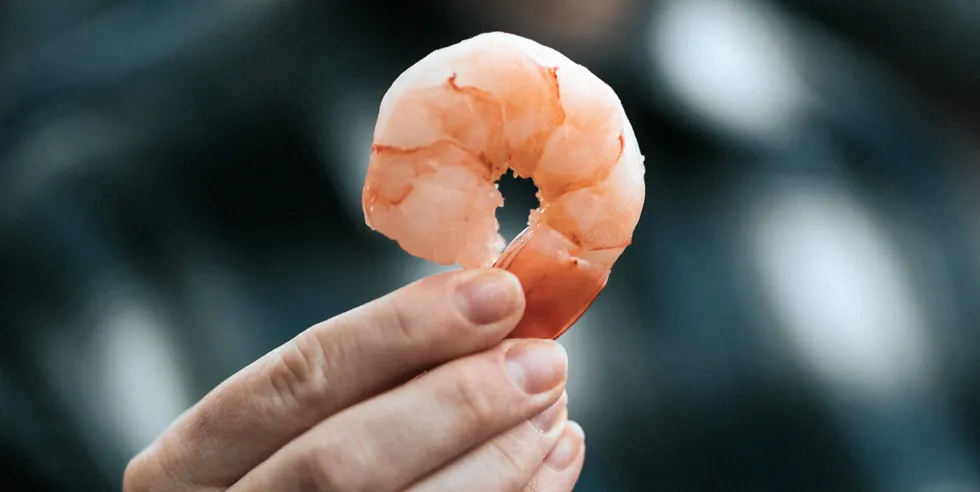 . Costs, prices, disease, feed, tech, trade: There are many challenges facing the international shrimp farming industry.