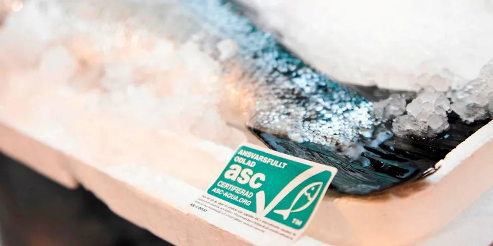 Seafood eco-labels aren't enough to ensure the supply chain is sustainable, one expert tells IntraFish.