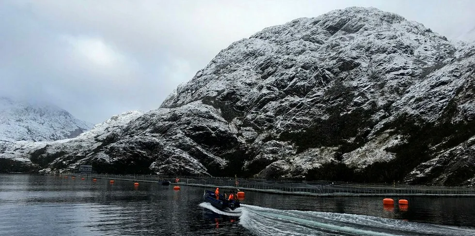 Nova Austral's salmon farming operations in the Antarctic waters of Porvenir, Tierra del Fuego, Chile.