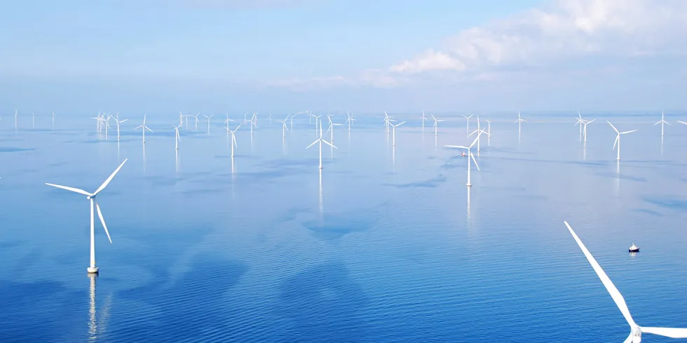 . RWE's Rodsand 2 offshore wind farm in the Danish part of the Baltic Sea.