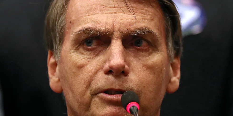Brazilian President Jair Bolsonaro has given tacit approval to illegal deforestation.