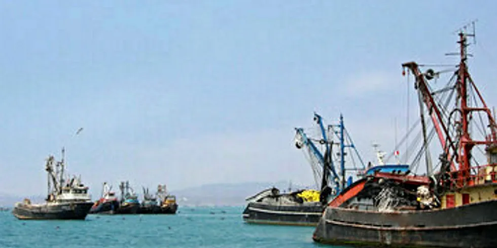 Vessels can head out to Peru's southern waters beginning Aug. 1